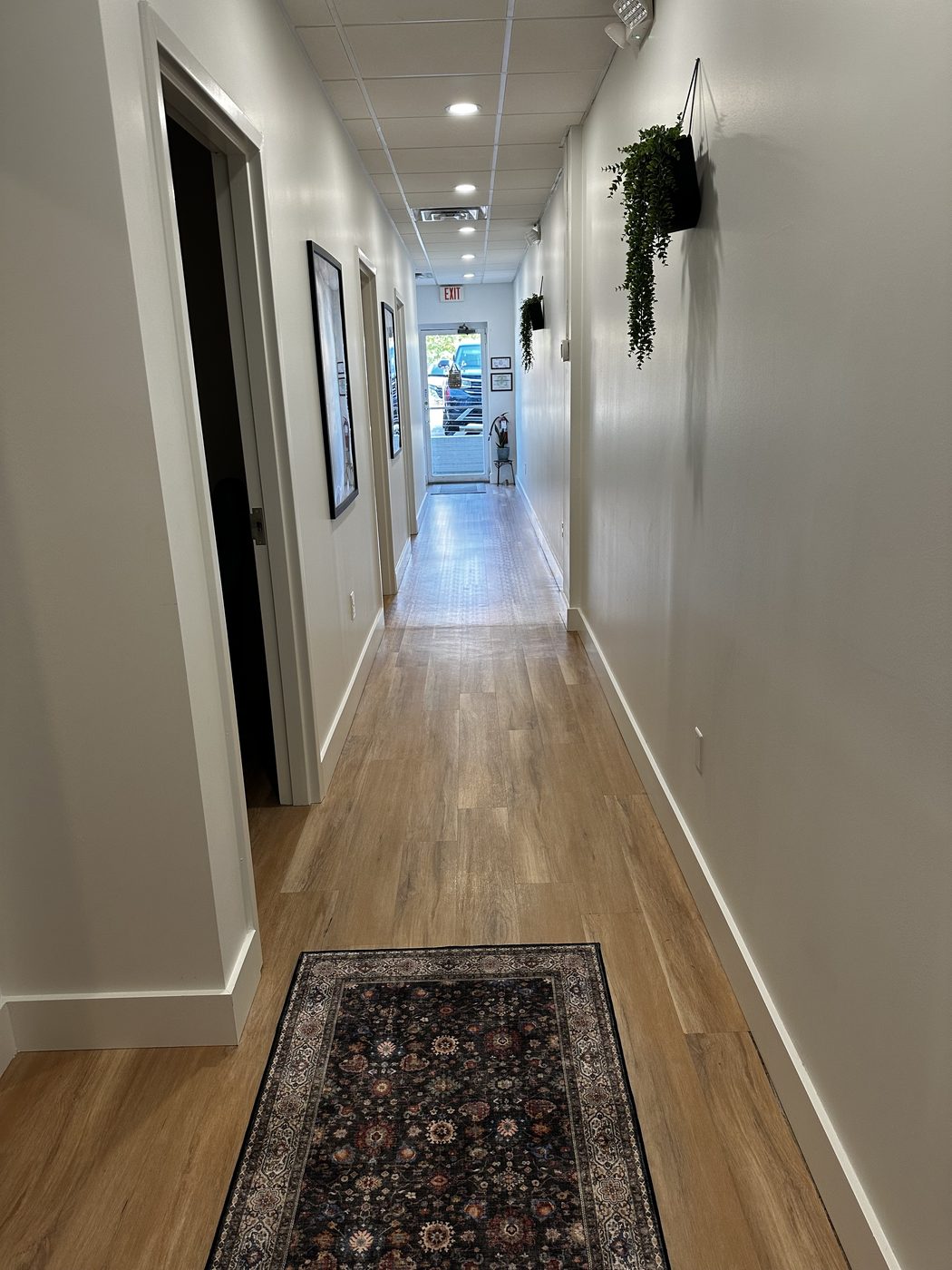 The hallway running the length of the practice, with a runner rug on wood flooring and a trailing plant hung from the ceiling